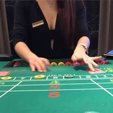 vegas casino Bingo